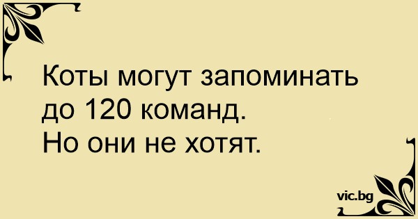 Євросоюз може обмежити роботу "Північного потоку-2", - Шмигаль - Цензор.НЕТ 8174