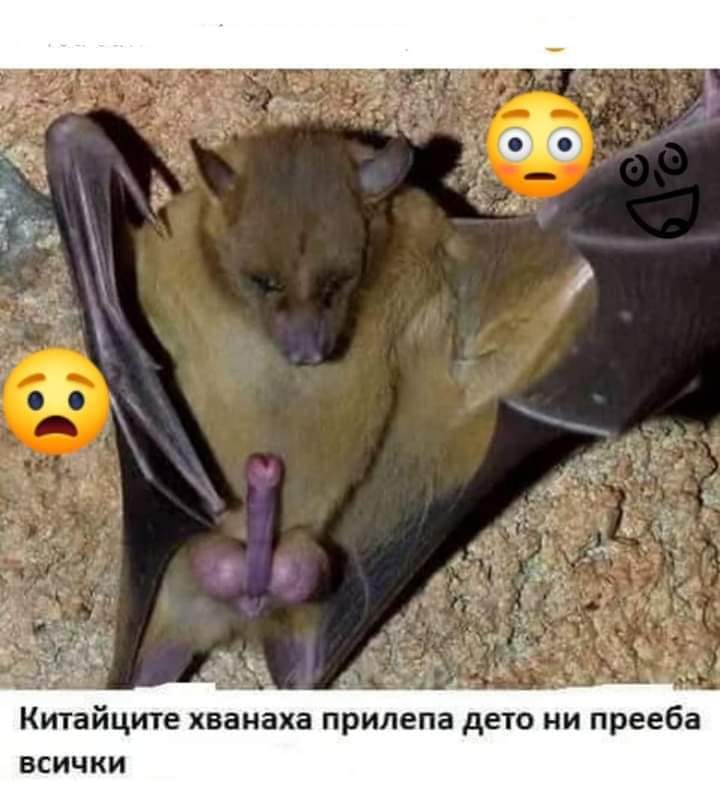 Китайците хванали прилепа, дето ни п*рееба всички