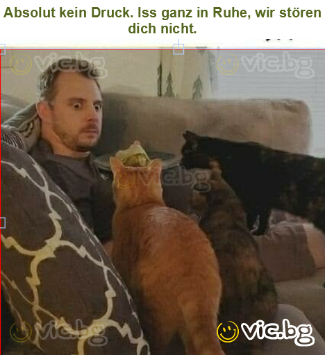 Absolut kein Druck. Iss ganz in Ruhe, wir stören dich nicht.