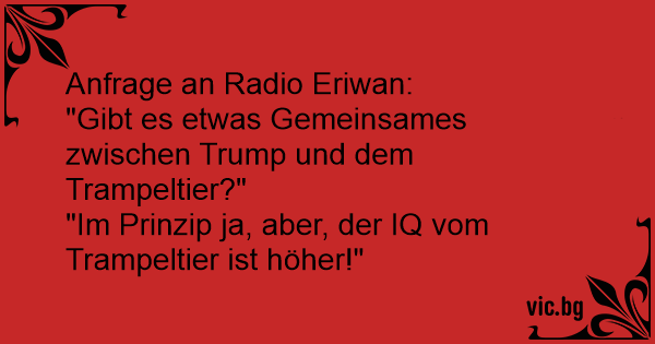 Hofte passage sur Anfrage an Radio Eriwan: "Gibt es etwas Gemeinsames zwischen Trump und dem  Trampeltier?" "Im Prinzip ja, aber, der IQ vom Trampeltier ist höher!"