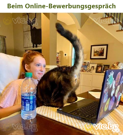 Beim Online-Bewerbungsgespräch