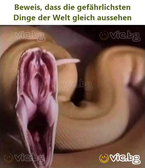 Beweis, dass die gefährlichsten Dinge der Welt gleich aussehen