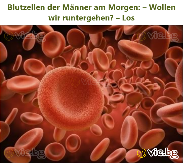 Blutzellen der Männer am Morgen: – Wollen wir runtergehen? – Los