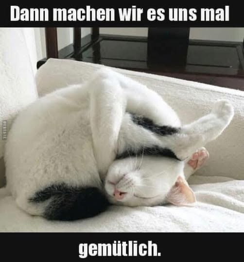 Dann machen wir es uns mal gemütlich.