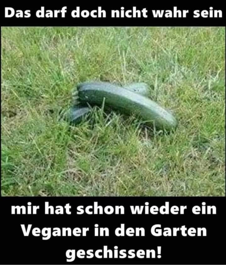Das darf doch niсhт wahr sein mir hat schon wieder ein Veganer in den Garten geschissen!