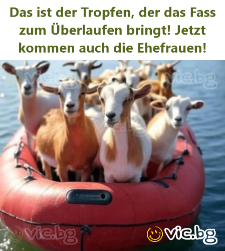 Das ist der Tropfen, der das Fass zum Überlaufen bringt! Jetzt kommen auch die Ehefrauen!
