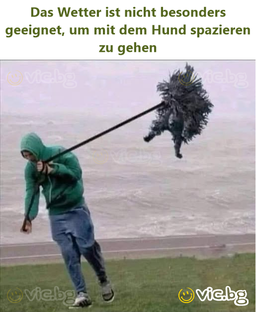 Das Wetter ist niсhт besonders geeignet, um mit dem Hund spazieren zu gehen