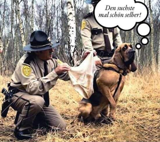 Den suchste mal schön selber!