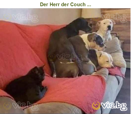 Der Herr der Couch ...