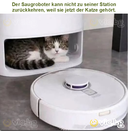 Der Saugroboter kann nicht zu seiner Station zurückkehren, weil sie jetzt der Katze gehört.