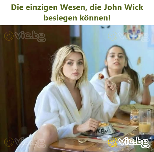 Die einzigen Wesen, die John Wick besiegen können!