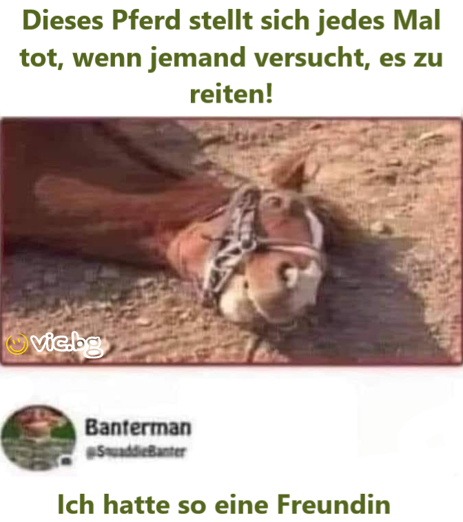 Dieses Pferd stellt sich jedes Mal tot, wenn jemand versucht, es zu reiten! Ich hatte so eine Freundin