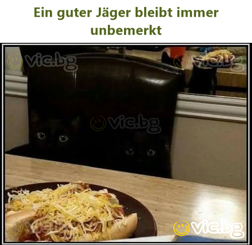 Ein guter Jäger bleibt immer unbemerkt