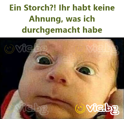 Ein Storch?! Ihr habt keine Ahnung, was ich durchgemacht habe