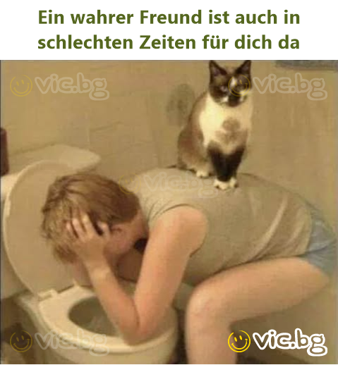 Ein wahrer Freund ist auch in schlechten Zeiten für dich da