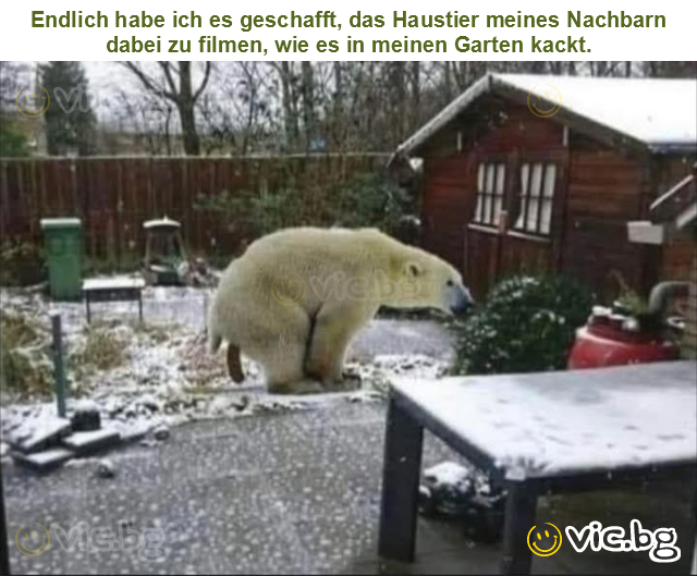 Endlich habe ich es geschafft, das Haustier meines Nachbarn dabei zu filmen, wie es in meinen Garten kackt.
