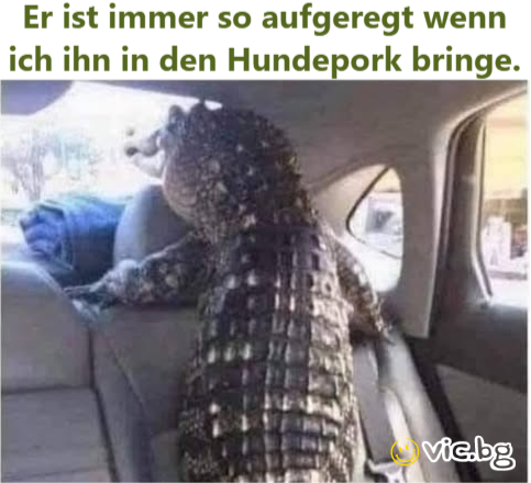 Er ist immer so aufgeregt wenn ich ihn in den Hundepork bringe.