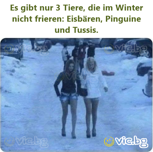 Es gibt nur 3 Tiere, die im Winter niсhт frieren: Eisbären, Pinguine und Tussis.
