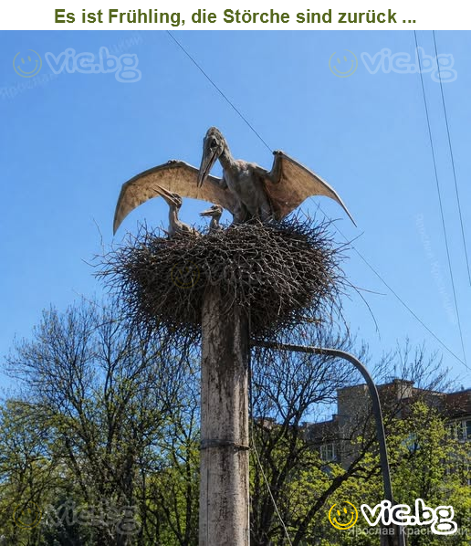 Es ist Frühling, die Störche sind zurück ...