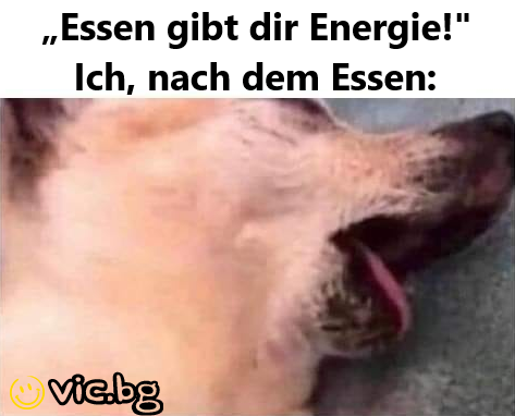 „Essen gibt dir Energie!"	 Ich, nach dem Essen: