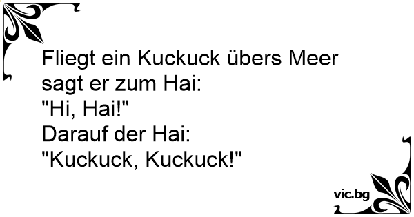 Fliegt Ein Kuckuck Ubers Meer Sagt Er Zum Hai Hi Hai Darauf Der Hai Kuckuck Kuckuck