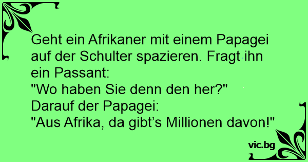 31+ 18 jahre sprueche , Geht ein Afrikaner mit einem Papagei auf der Schulter spazieren. Fragt ihn ein Passant