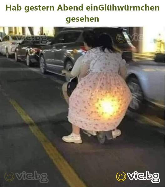 Hab gestern Abend einGlühwürmchen gesehen