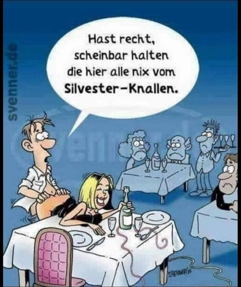 Hast recht, scheinbar halten  svenner die hier alle nix vom Silvester-Knallen.