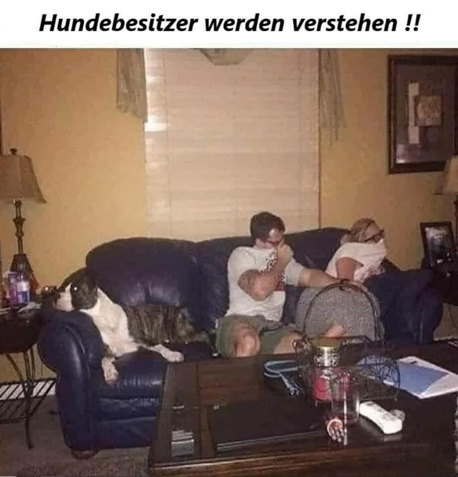 Hundebesitzer werden verstehen !!