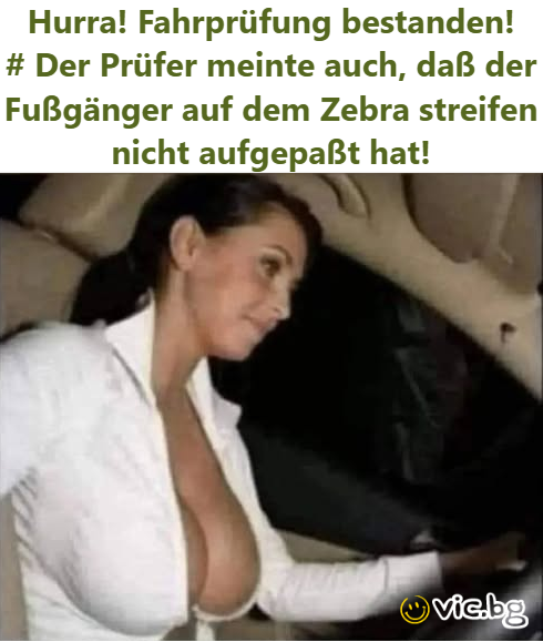 Hurra! Fahrprüfung bestanden! # Der Prüfer meinte auch, daß der Fußgänger auf dem Zebra streifen niсhт aufgepaßt hat!