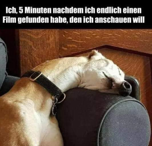 Ich, 5 Minuten nachdem ich endlich einen Film gefunden habe, den ich anschauen will
