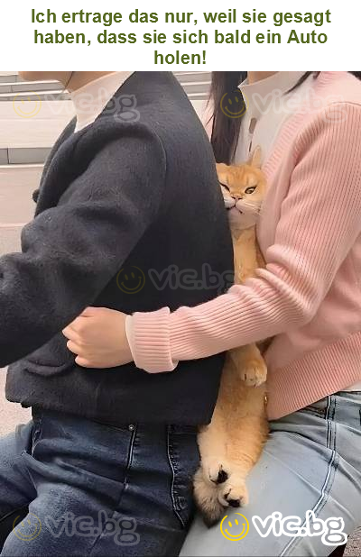 Ich ertrage das nur, weil sie gesagt haben, dass sie sich bald ein Auto holen!