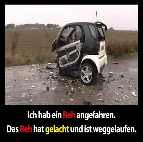 Ich hab ein Reh angefahren. Das Reh hat gelacht und ist weggelaufen.