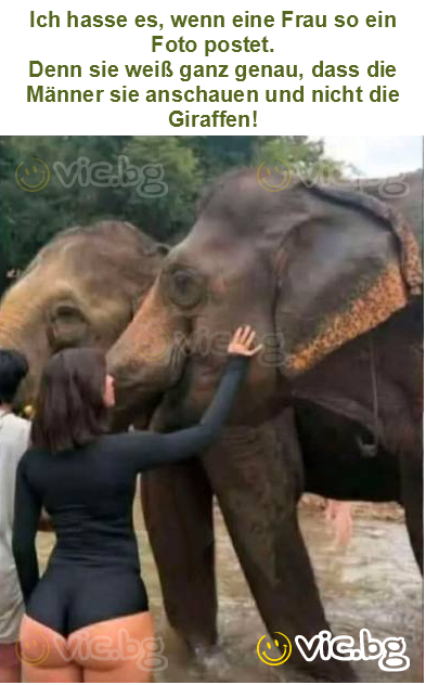 Ich hasse es, wenn eine Frau so ein Foto postet.
Denn sie weiß ganz genau, dass die Männer sie anschauen und nicht die Giraffen!
