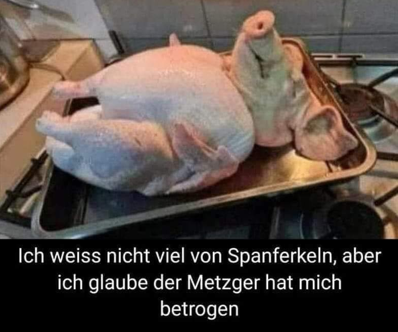 Ich weiss niсhт viel von Spanferkeln, aber ich glaube der Metzger hat mich betrogen