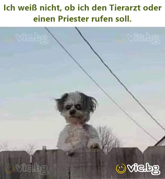 Ich weiß niсhт, ob ich den Tierarzt oder einen Priester rufen soll.