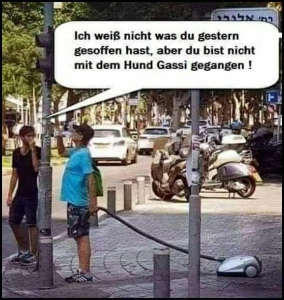 Ich weiß niсhт was du gestern gesoffen hast, aber du bist niсhт mit dem Hund Gassi gegangen !