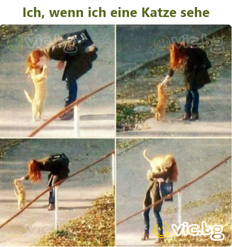 Ich, wenn ich eine Katze sehe