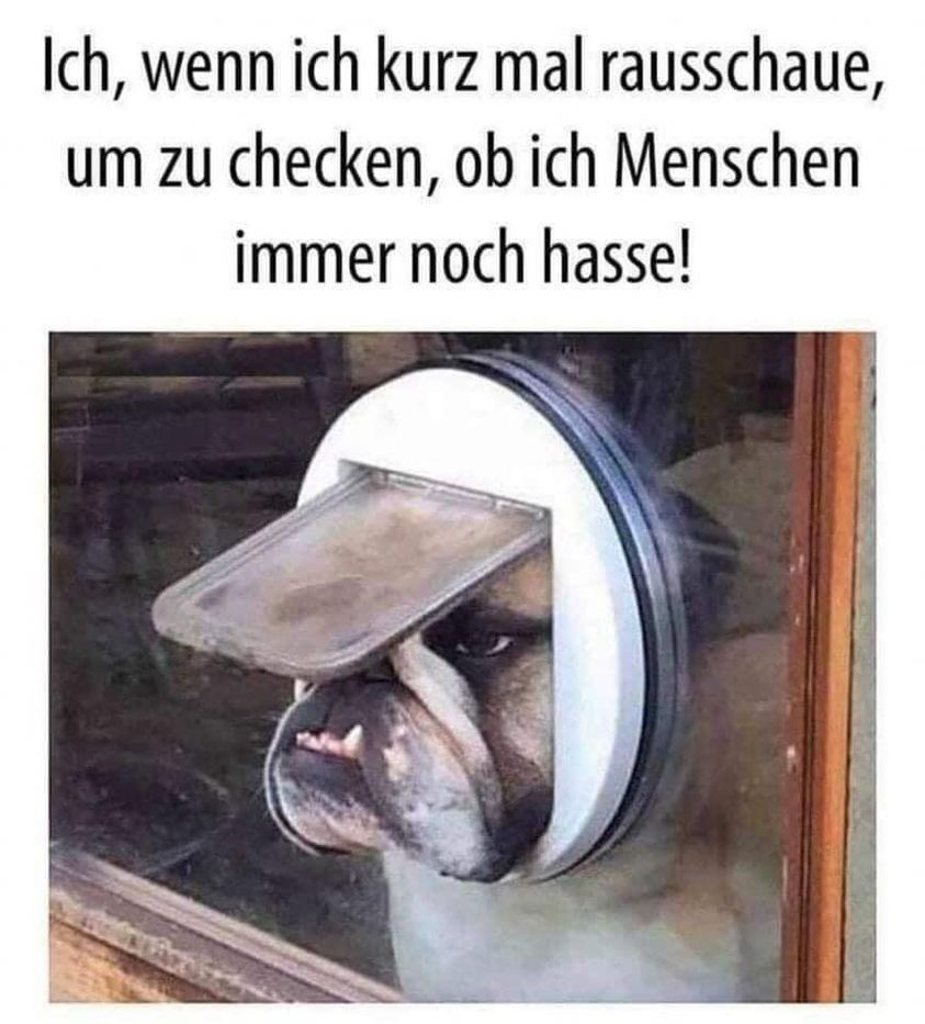 Ich, wenn ich kurz mal rausschaue, um zu checken, ob ich Menschen immer noch hasse!