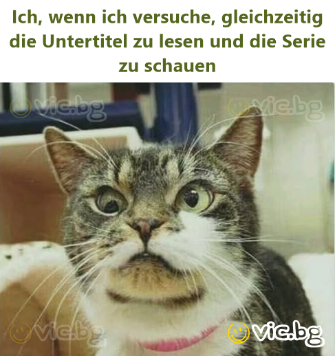 Ich, wenn ich versuche, gleichzeitig die Untertitel zu lesen und die Serie zu schauen