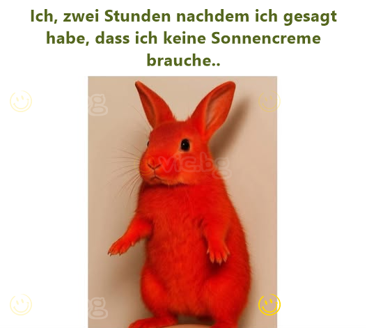 Ich, zwei Stunden nachdem ich gesagt habe, dass ich keine Sonnencreme brauche..