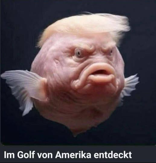 Im Golf von Amerika entdeckt