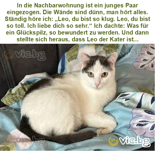 In die Nachbarwohnung ist ein junges Paar eingezogen. Die Wände sind dünn, man hört alles. Ständig höre ich: „Leo, du bist so klug. Leo, du bist so toll. Ich liebe dich so sehr.“ Ich dachte: Was für...