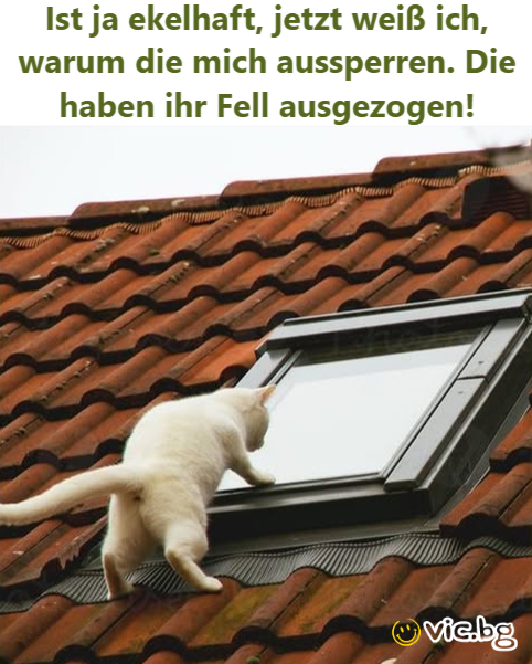 Ist ja ekelhaft, jetzt weiß ich, warum die mich aussperren. Die haben ihr Fell ausgezogen!