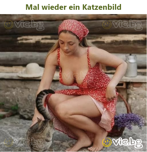 Mal wieder ein Katzenbild