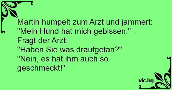 Martin humpelt zum Arzt und jammert &quot;Mein Hund hat mich gebissen