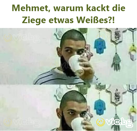 Mehmet, warum kackt die Ziege etwas Weißes?!