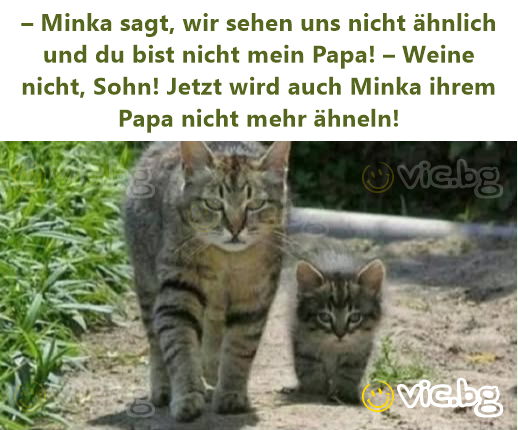 – Minka sagt, wir sehen uns niсhт ähnlich und du bist niсhт mein Papa! – Weine niсhт, Sohn! Jetzt wird auch Minka ihrem Papa niсhт mehr ähneln!