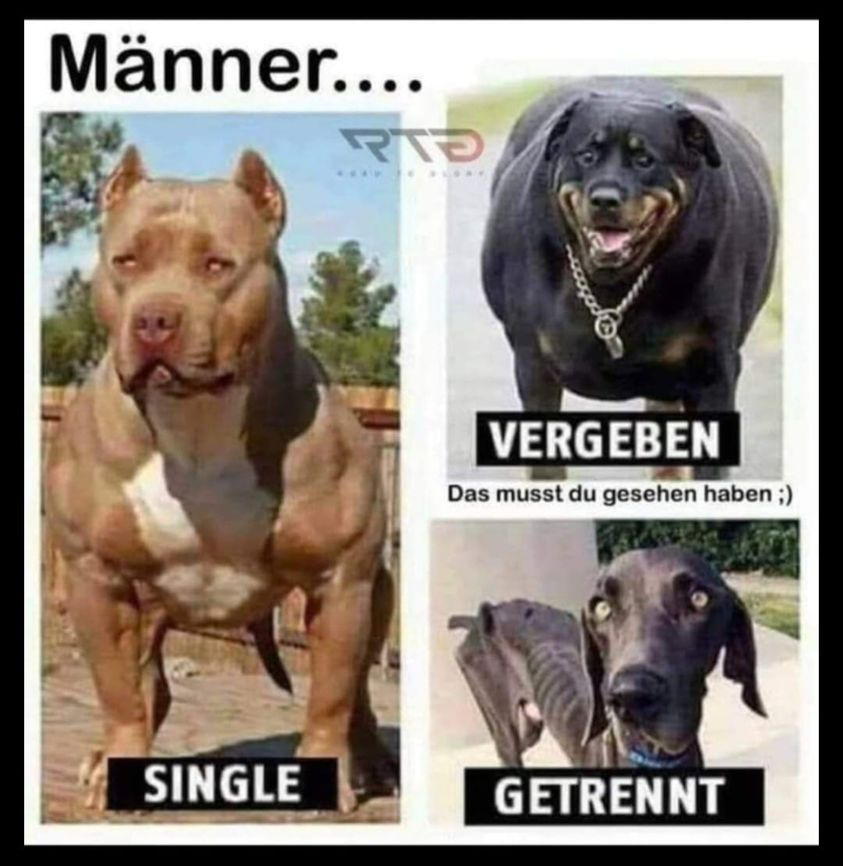 Männer: Single. Vegeben. Getrennt.
