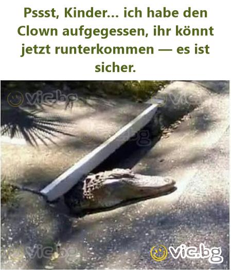 Pssst, Kinder… ich habe den Clown aufgegessen, ihr könnt jetzt runterkommen — es ist sicher.